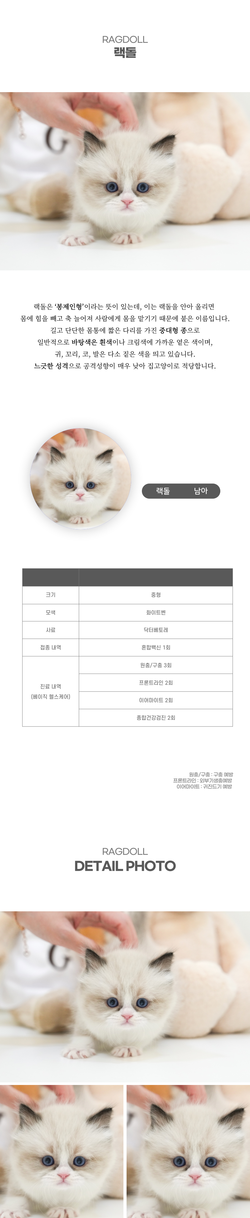 랙돌_상세이미지_2